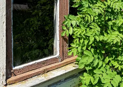 Archive: peeling paint on a shed in Brodalen, Sweden, 27 May 2018. Illustrative photograph; the paint has not been identified as containing lead.