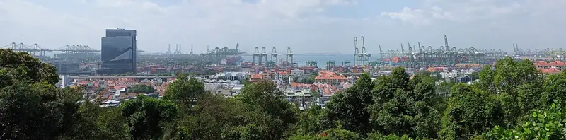Container terminals in Singapore, viewed from Kent Ridge Park, 10 January 2026. Context photograph.