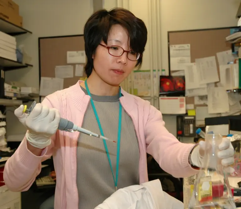 A National Cancer Institute scientist transfers samples with a pipette.