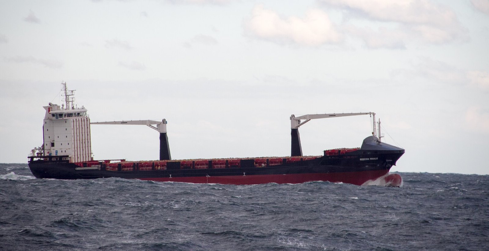 The container ship Reecon Whale on the Black Sea near Constanța, 17 October 2016. Illustrative archive; this is a different vessel, not CONTSHIP JET or the drone strike.