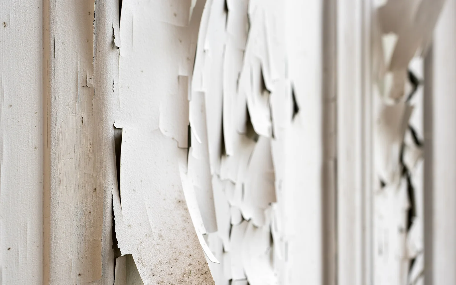 Close view of peeling paint on a window shutter in Lisbon; lead content is unknown.